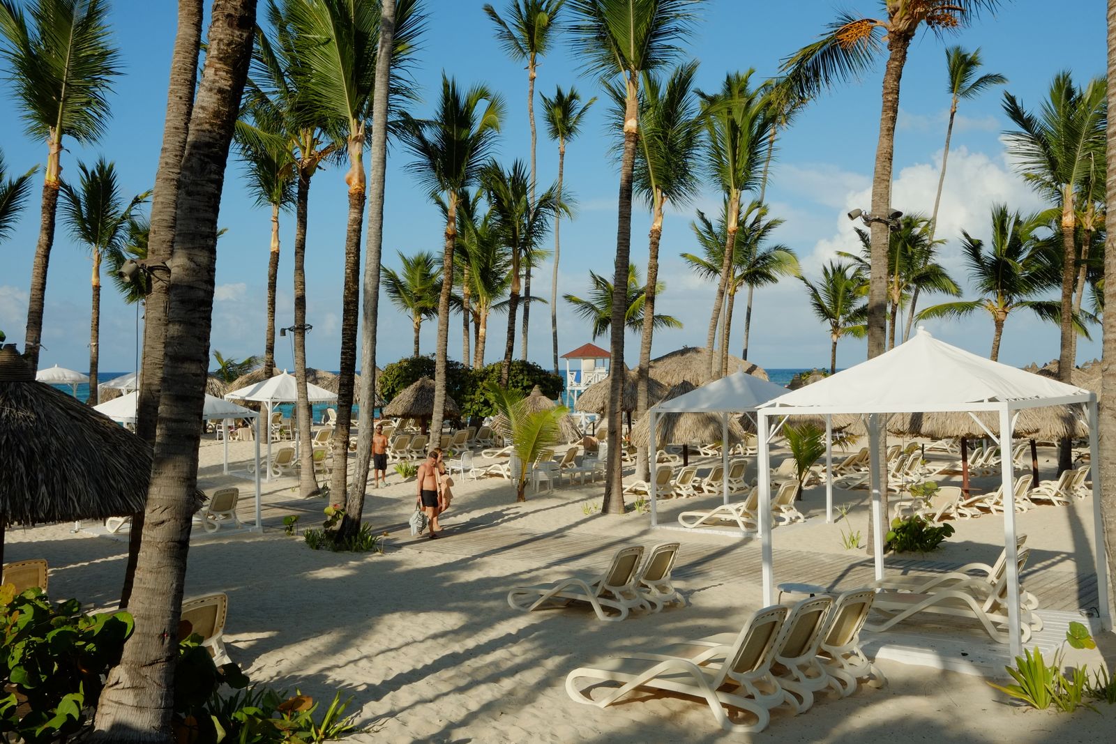 Beach with palm trees and sun loungers in Punta Cana, Dominican Republic