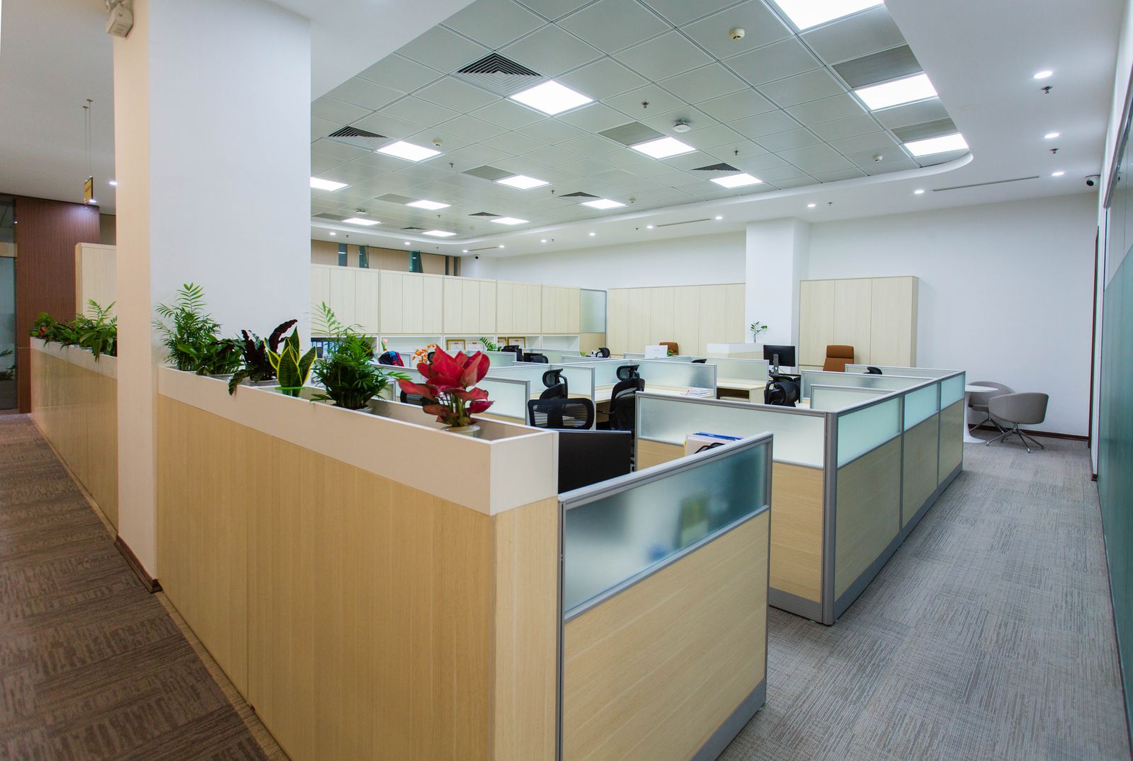 Open-plan office with workstations and partitions